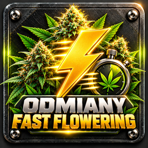 Fast Flowerinf